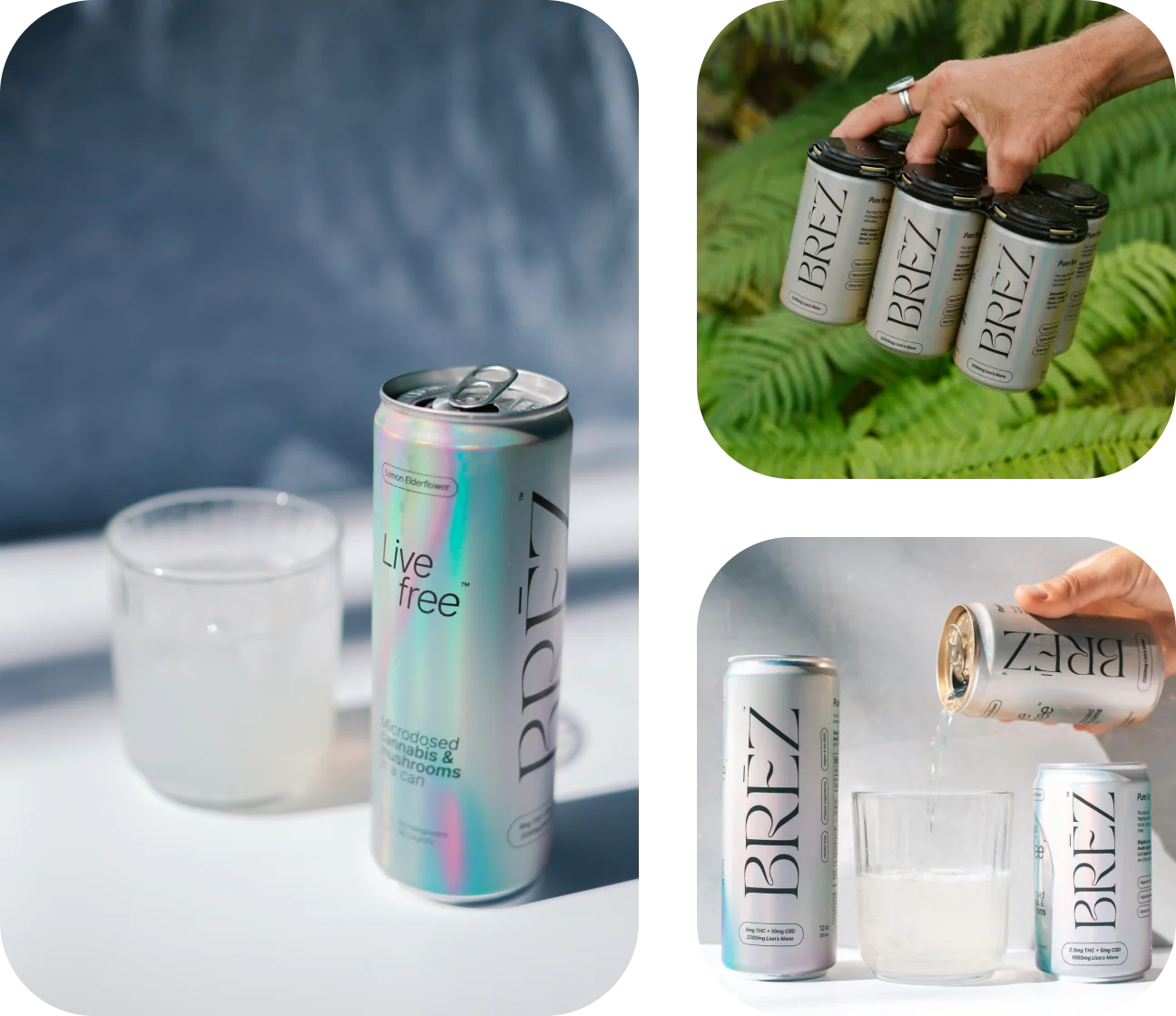 TRIO - Image 7